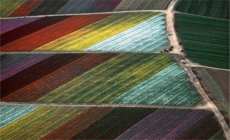 parks-swimming-pools-img03